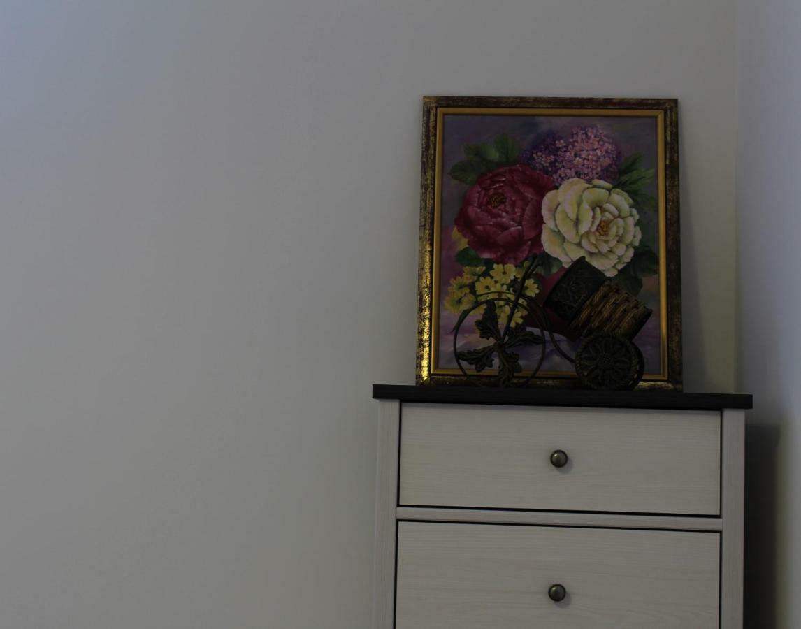 Nova Vas  Apartman Robi מראה חיצוני תמונה